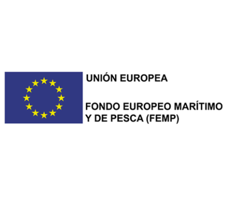 femp-ayudas