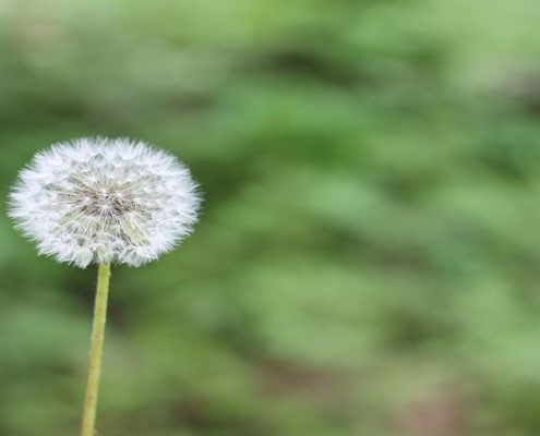 Alergias y aire acondicionado: mitos