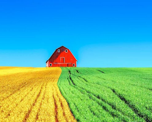 vivienda-bioclimatica