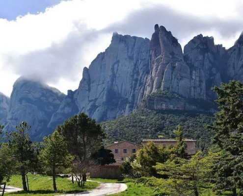 El compromiso de Cofrico Barcelona con el medio ambiente de Cataluña