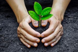 medioambiente-valores-cofrico medioambiente-valores-cofrico