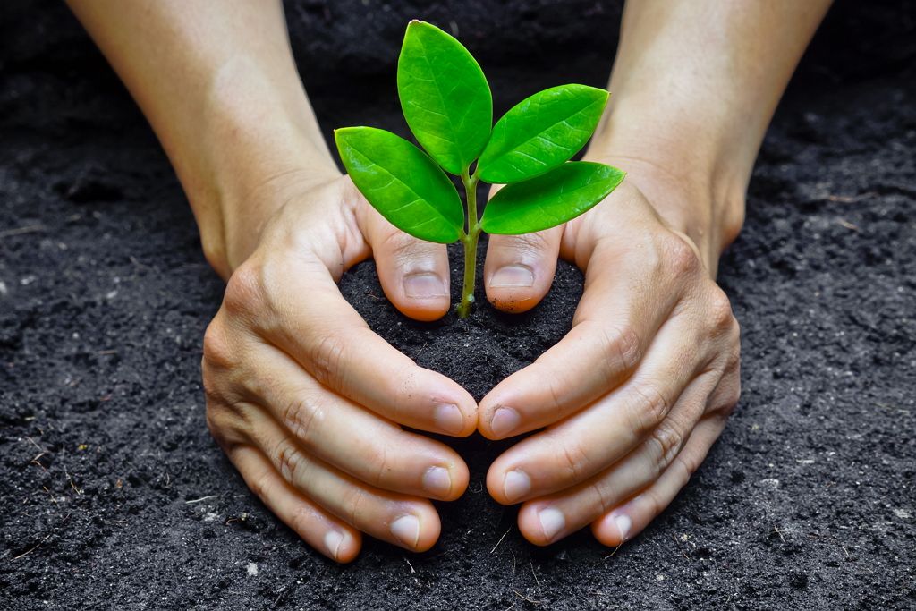 medioambiente-valores-cofrico