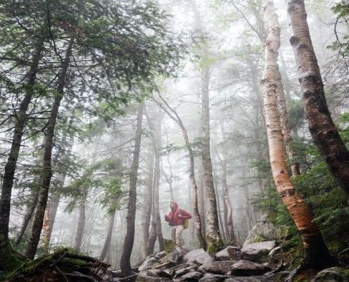 Abierta la convocatoria de Proyectos Clima 2017|Noticias
