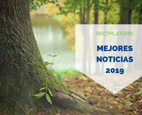 noticias cofrico 2019