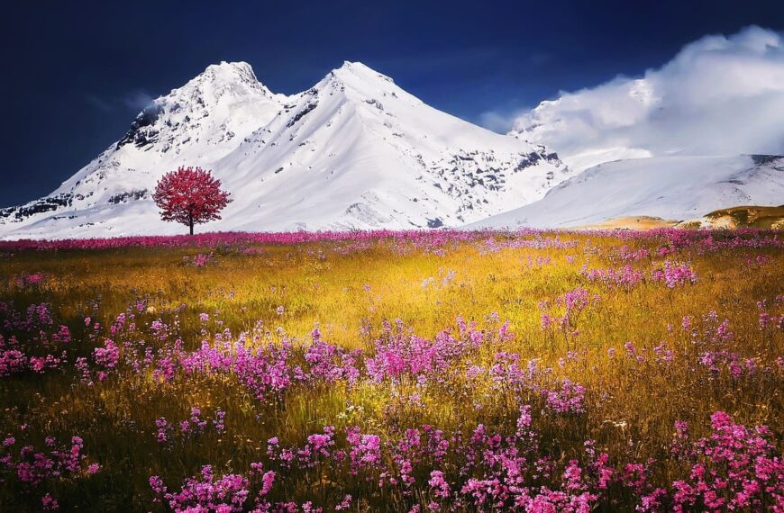 Conservación de Flores: Cómo una cámara frigorífica protege la rentabilidad del negocio