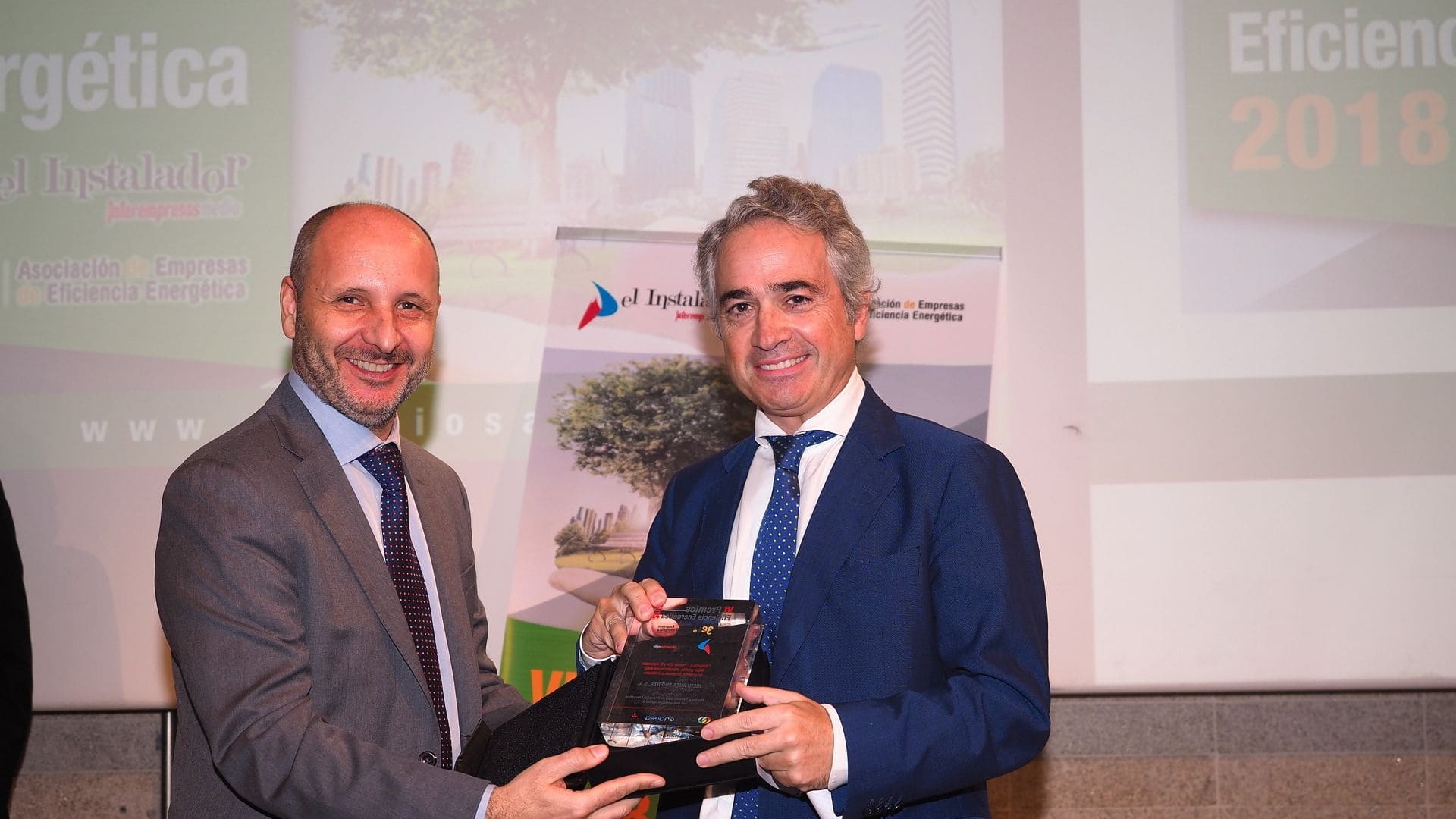 Iberfruta y Cofrico ganadores Premios A3E Eficiencia Energetica 2018