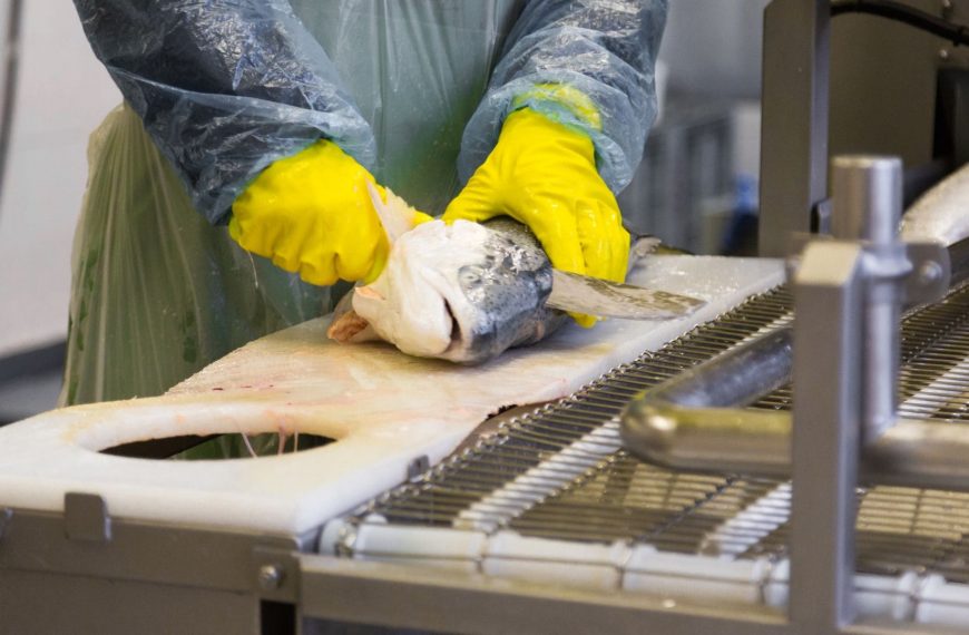Refrigeración en la industria pesquera: desde el mar a la mesa