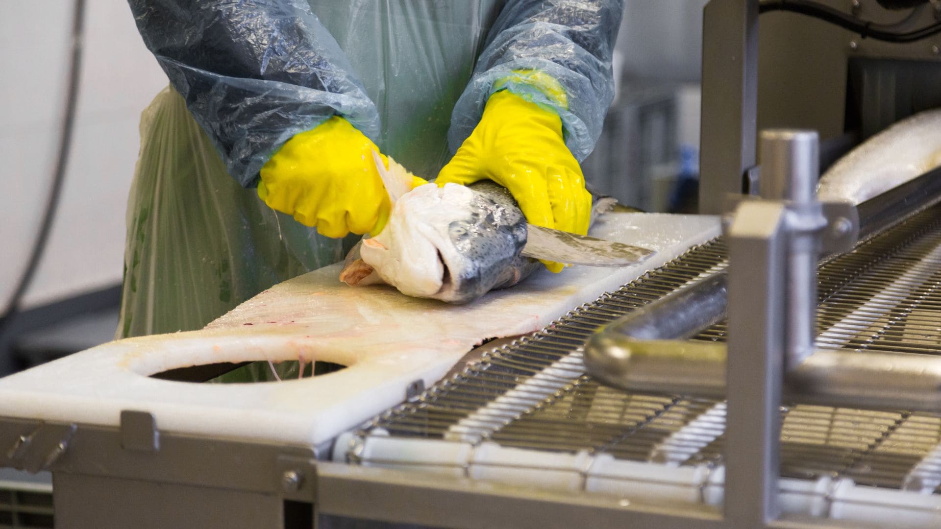 Refrigeración en la industria pesquera: desde el mar a la mesa