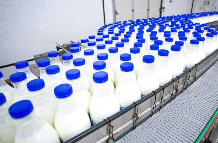 Sala Refrigeracion Industria Lactea: La refrigeración industrial de los lácteos
