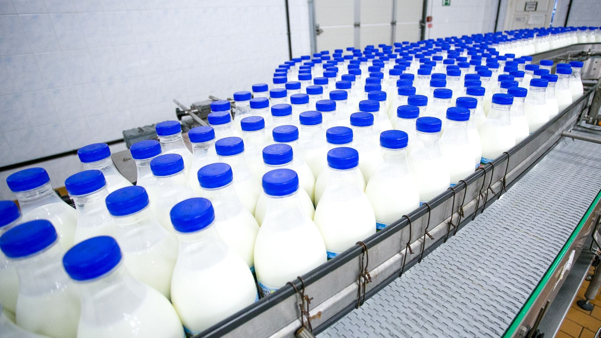 Sala Refrigeracion Industria Lactea: La refrigeración industrial de los lácteos